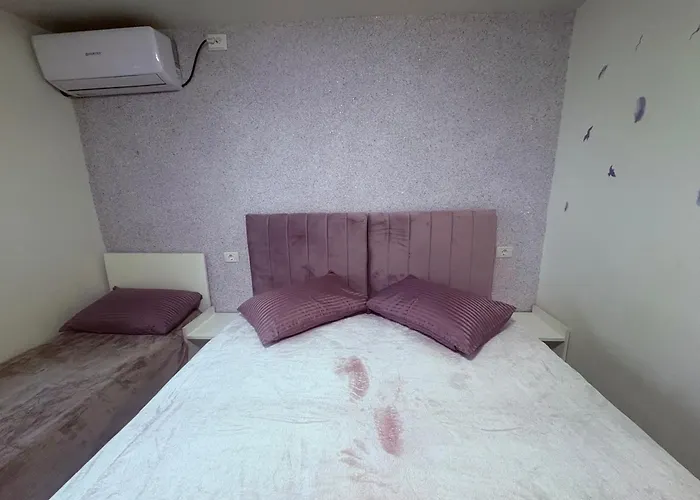 Ama コンスタンツァ